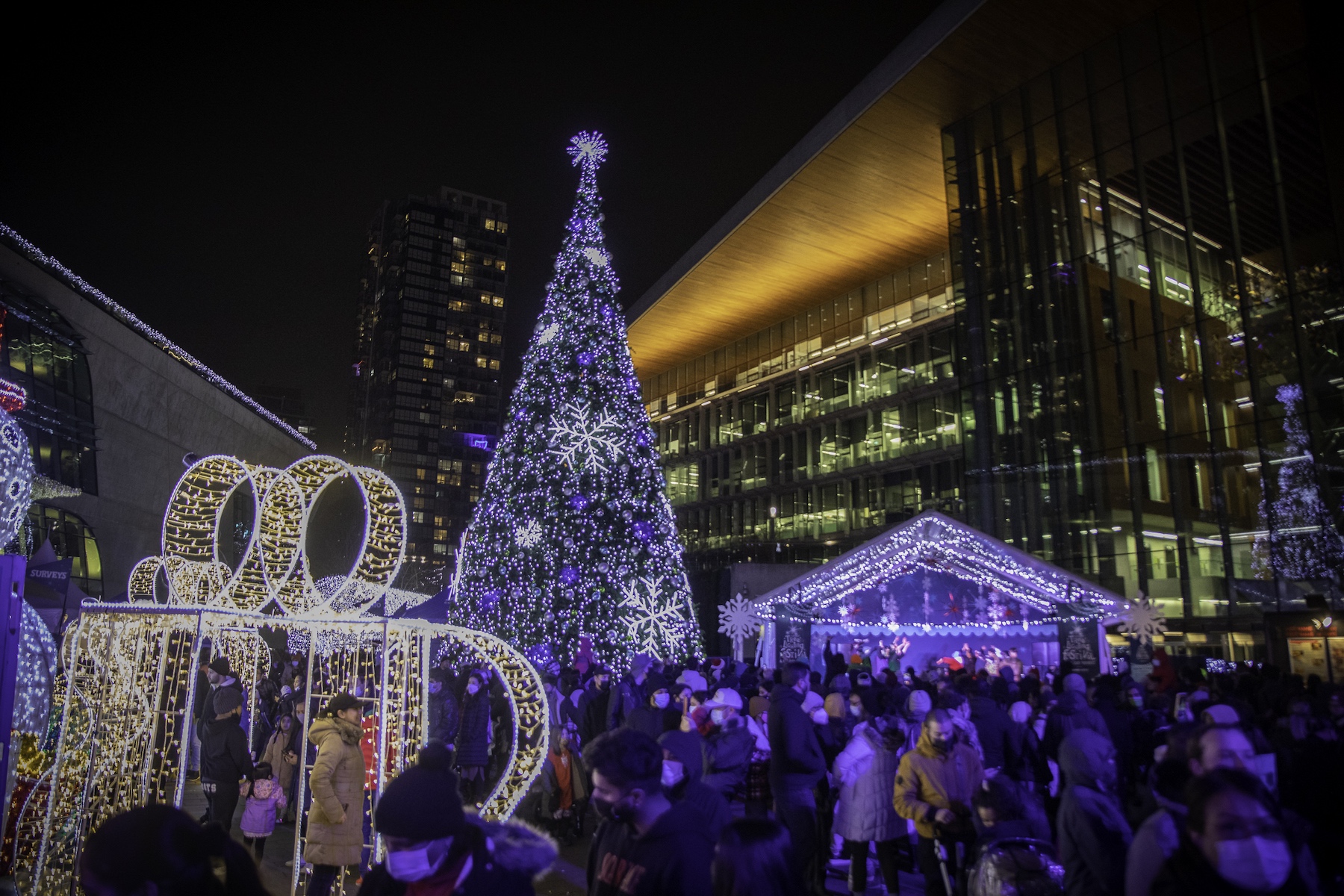 Welcome  Surrey Tree Lighting Festival