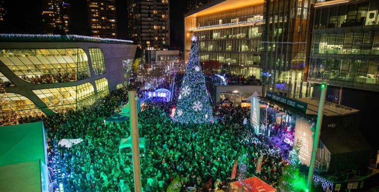 Tree Lighting Crowd