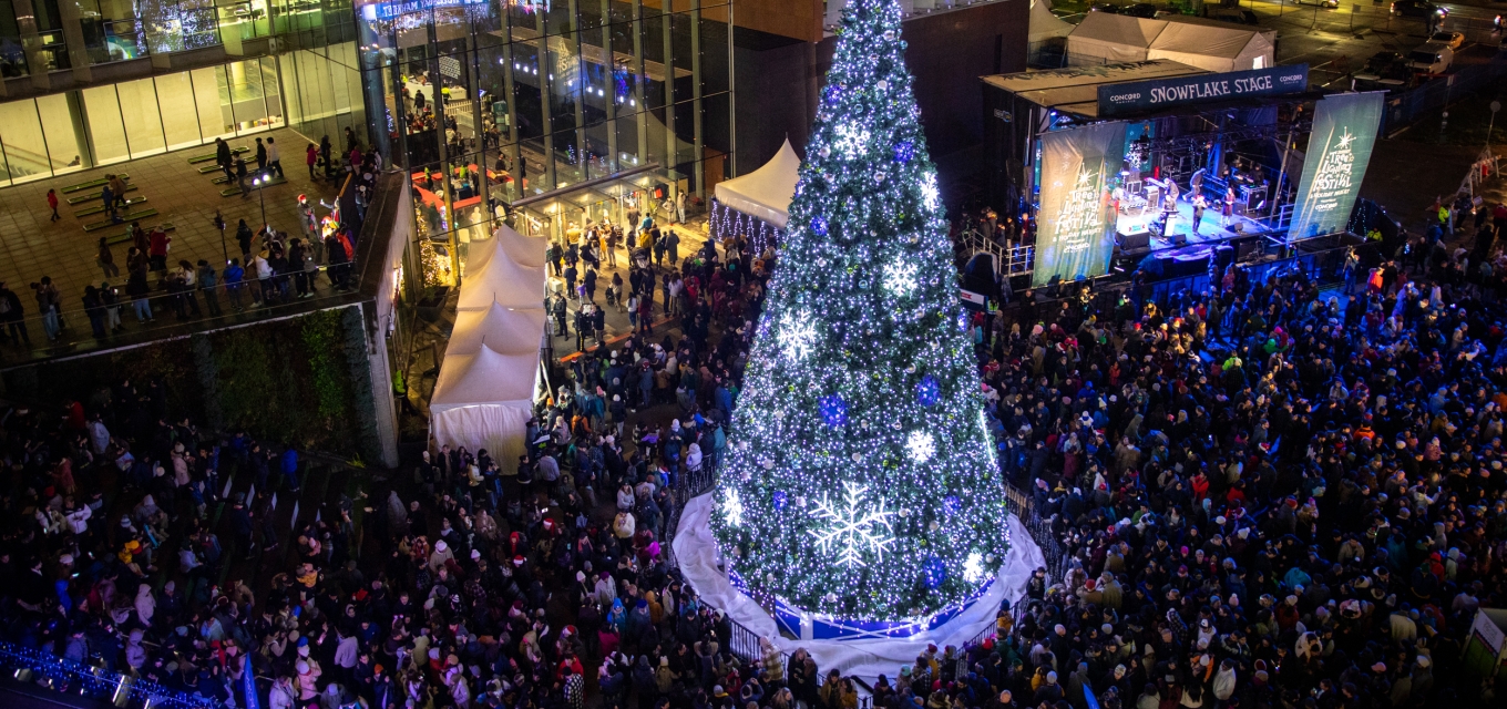 People at the event with a lit up Christmas tree.