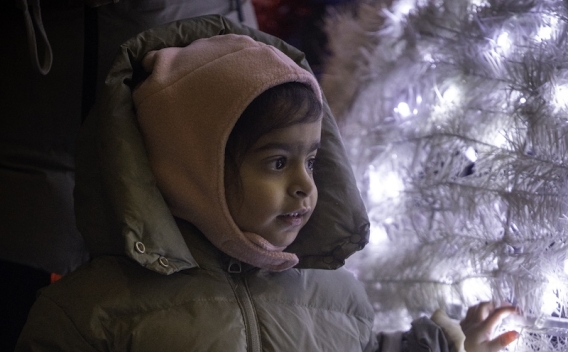 Toddler delighted by Christmas lights and decorations